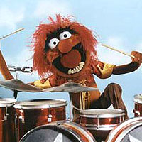 Muppet Animal with drums